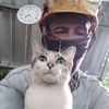 agung.budiono486