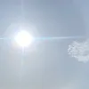 n.v.s.08