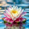 danny.liew30
