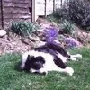 ellie.evans72