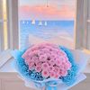 liz.qn4