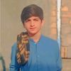 umar.dil.tunio