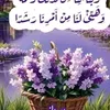 reem.aktaa