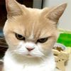 user6610613619345