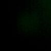 y8kkw6