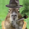 capybarabackup1
