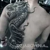 grzegorz.rzzewski