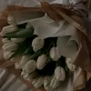 yt_m59