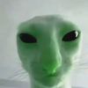 adlmghn