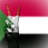 user2197845240577