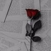 xm_ya_