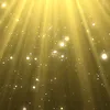 大和光