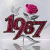 rabah.ghe6