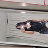 jvazmn