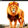 daniel986457
