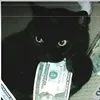 whisu5