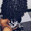 user032632228