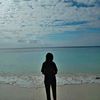 _nhoviz11