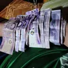 hustle4lifez