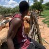 farm.with.bllz