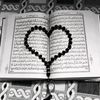 dimasrehan.rehan