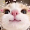 raa_imup01