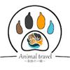 Animal Travel