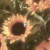 fxng469