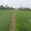 muoi.ydo