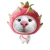 widia_836