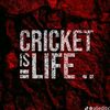 cricket.fan7939