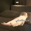 all_i74