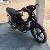 zmn.14real