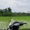 hbalfzi__125