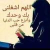user8772627742779