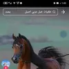 mohamad15d