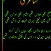 ramzansharif26