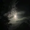 rlboii