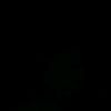 king_8277
