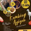 ahmadsukino1