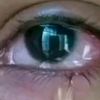 user_12342113521