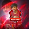pak_gaming96