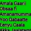 yadesa702