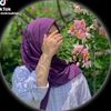 simlaakthe4