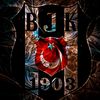 bjk1903q170