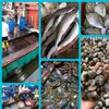 siva_seafood