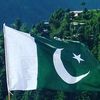 afzal.gul71