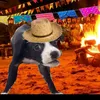 dogday103763