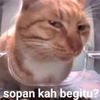 hobi_rebahan_00