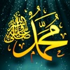 sheikh.ali485